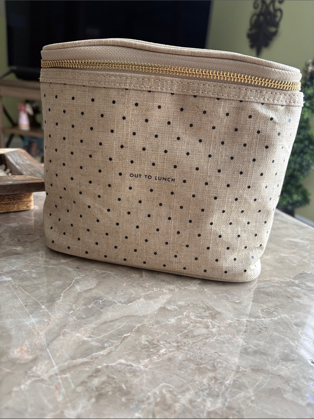 Kate Spade lunch tote/cosmetic bag